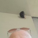 ���� Djordje, �����, 50 ��� - ��������� 4 ����� 2024 � ������ ���� ����������