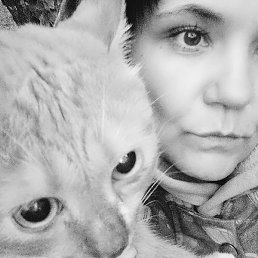 ��������, ������, 43 ����