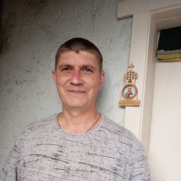 , 41, 