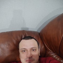 ��������, 38 ���, ���������