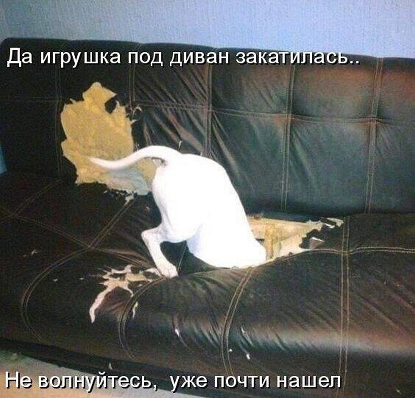 ? ,  ! - 19  2025  20:53