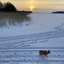 ���� ��������, ������ - ��������� 27 ������� 2025 � ������ ���� ����������
