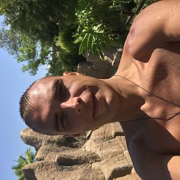 �����, �����-���������, 37 ���