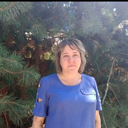 ��������, 41 ���, ���������