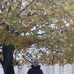 ���� ����, �����, 51 ��� - ��������� 14 ������ 2023