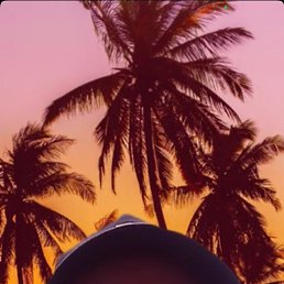 , 64 , 