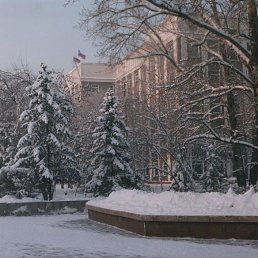 ���� ������, �������, 73 ���� - ��������� 16 ����� 2025