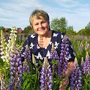 ���� ����., ������, 66 ��� - ��������� 17 ������� 2025 � ������ ���� ����������