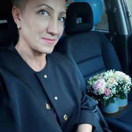 ������, �����������, 55 ���