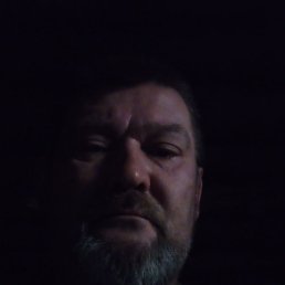 �����, 46 ���, ����