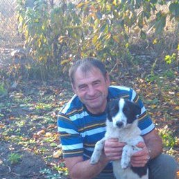 ����, ���������, 64 ����