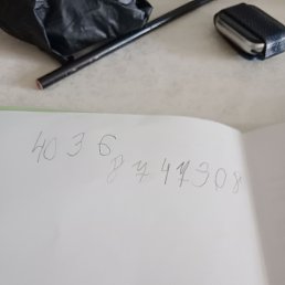 ���� Cvcncbvx, ������, 31 ��� - ��������� 7 ����� 2024