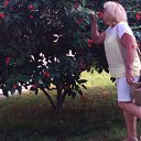 ���� �������, ����, 68 ��� - ��������� 17 ������ 2025