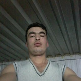 , 26, 