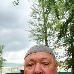 , 65, -
