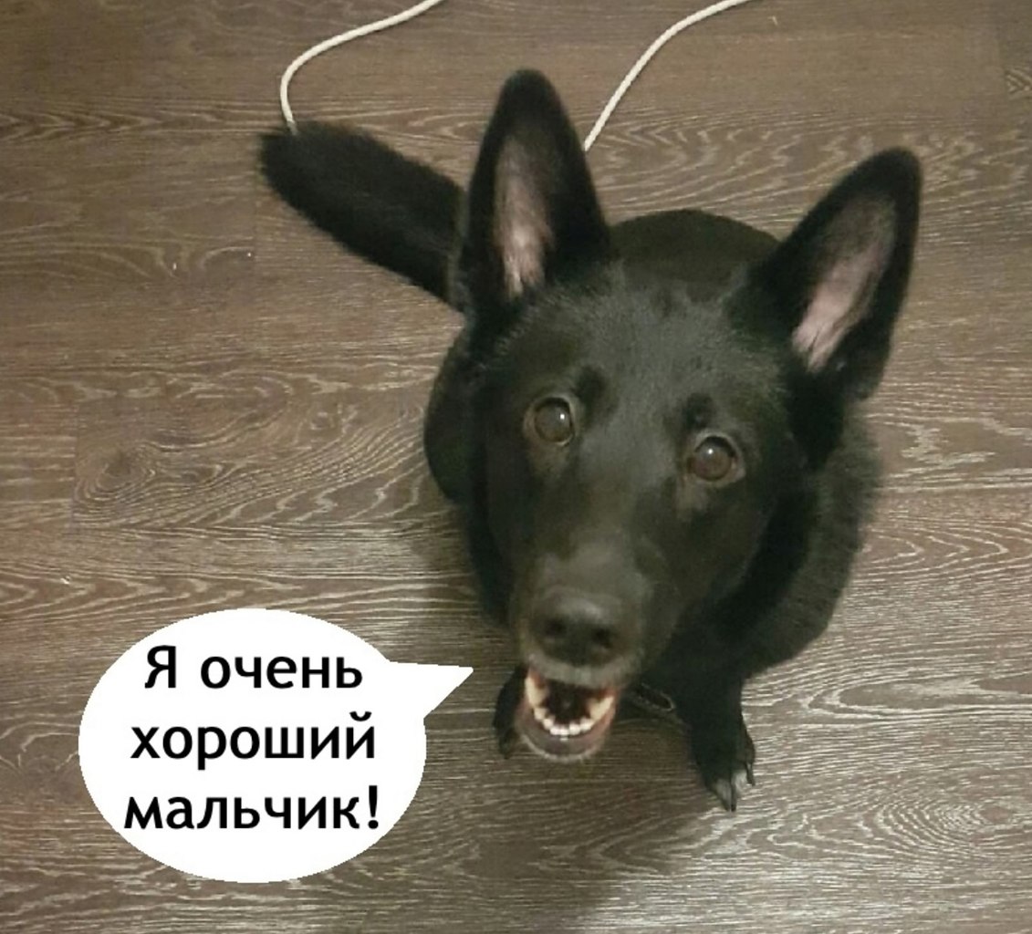    - 3