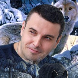 ����, ���������, 55 ���