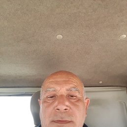 , 54, 