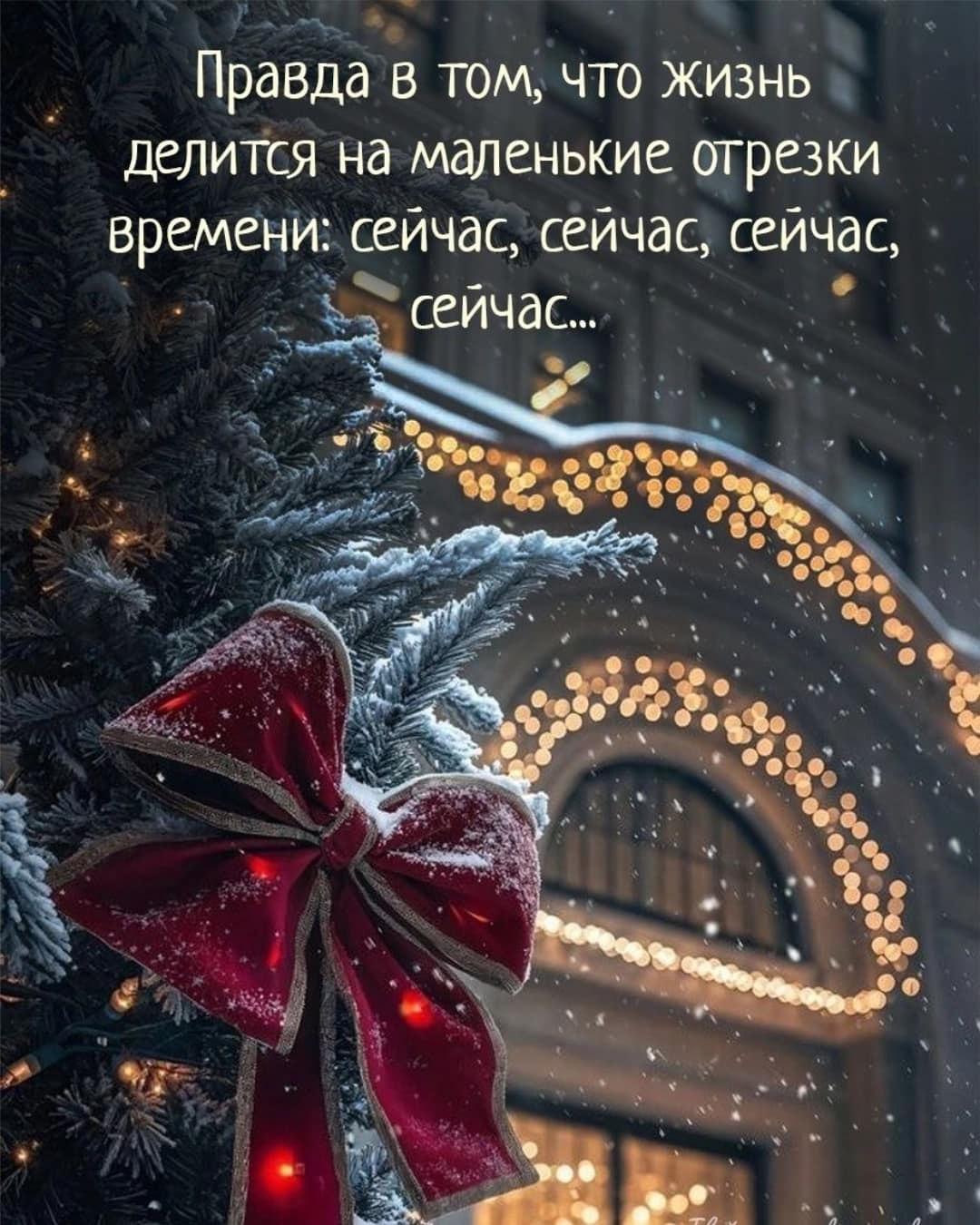  ! - 11  2025  10:03