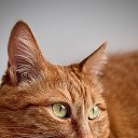 ���� �������, ����� - ��������� 3 ������ 2026 � ������ ���� ����������