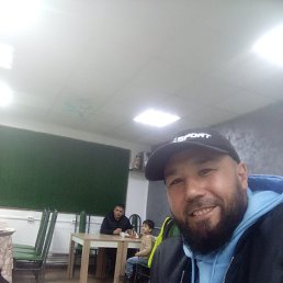 , 41, 