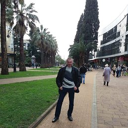 �����, ��������, 44 ����