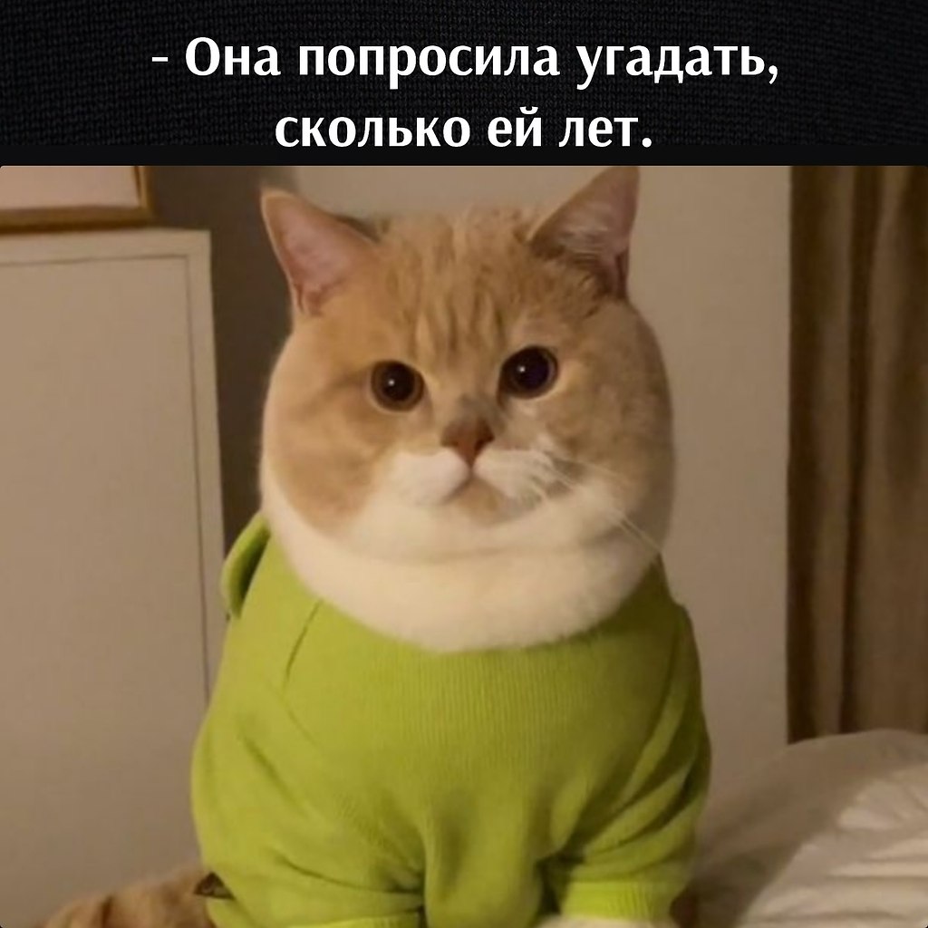 ��� ���� � ����� �� �� - 16 ������ 2026 � 17:12 - 2