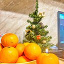 ���� �������, ������, 37 ��� - ��������� 19 ������ 2024 � ������ ���� ����������