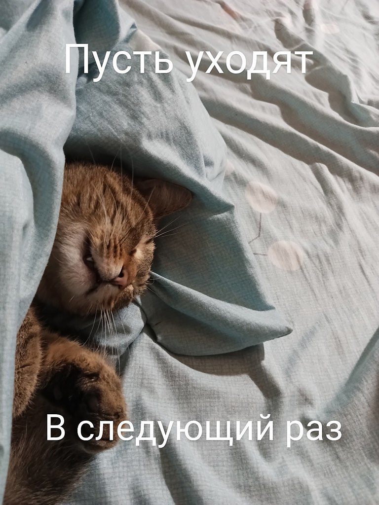      - 9  2025  08:04 - 4