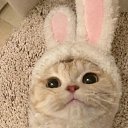 ���� ���������, ������, 20 ��� - ��������� 29 ������� 2024 � ������ ���� ����������