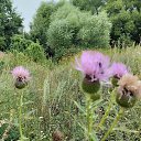 ���� �����, ���������, 50 ��� - ��������� 5 ������� 2025 � ������ �������� �������..�