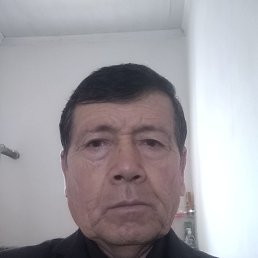 , 59, 