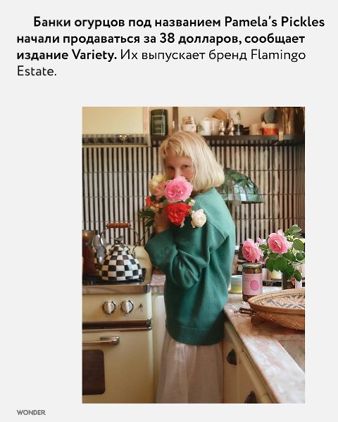 Кто бы мог подумать, что Памела будет солить огурцы! Вот молодец, наш человек! - 2