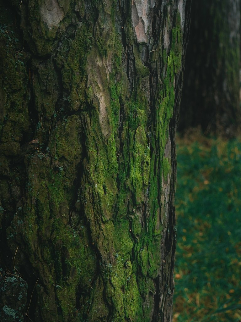 ������� ��������� ������� ������� - 5