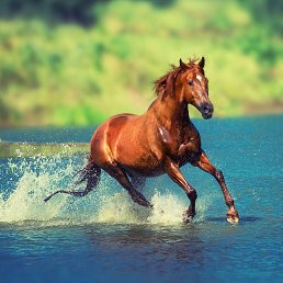 ���� ������, ������, 51 ��� - ��������� 31 ������� 2023