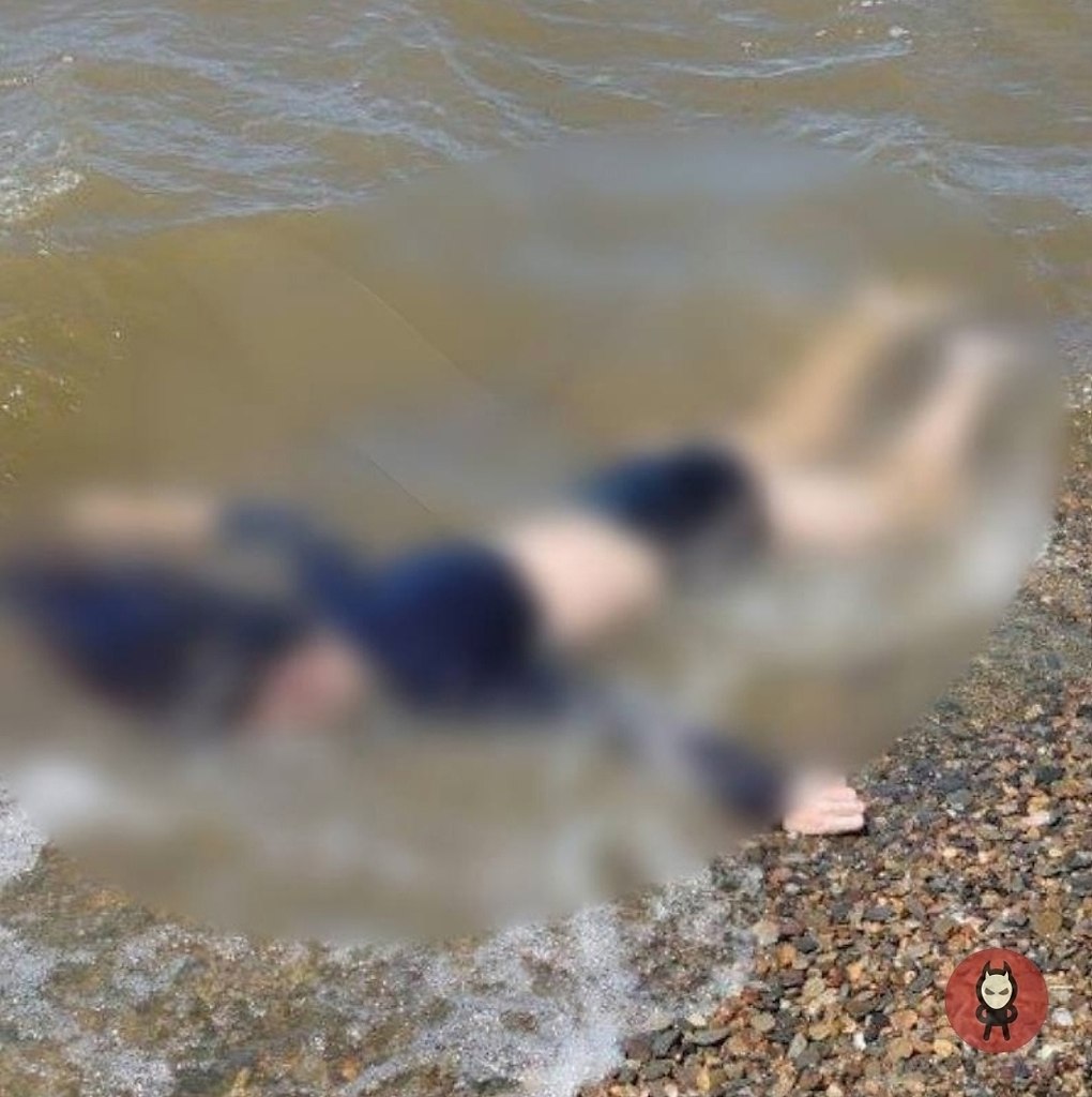 ��������, ������� �� ������ ���� ����� ���������.� ���������� ����� ���� 12-������ �������, ...