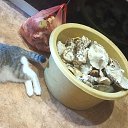 ���� �������, ������������, 51 ��� - ��������� 9 ������� 2024 � ������ ������������