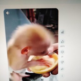 Alekcandr, ������, 70 ���