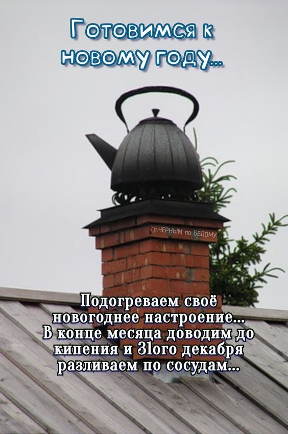 ✿ܓ☘ ������ ☕ ◕‿◕ ☕ ��������.☘ ✿ܓ - 5 ������ 2023 � 09:53