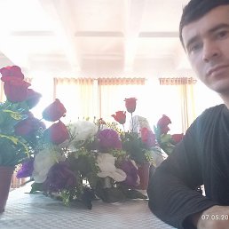 �����, ���������, 27 ���