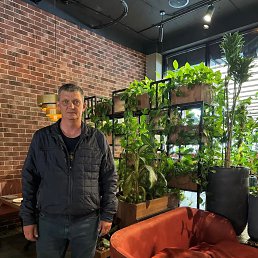 �����, 50 ���, ���������