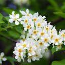 ���� ����, ������ - ��������� 25 ������ 2026 � ������ ������ ��������