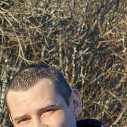 ����, 45 ���, �����-���������