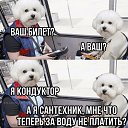 ���� ����, ������ - ��������� 4 �������� 2026 � ������ ������ ��������