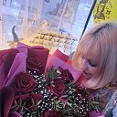 ���� &nu;, ��������, 35 ��� - ��������� 23 ����� 2026 � ������ ���� ����������