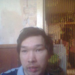 , 41, 