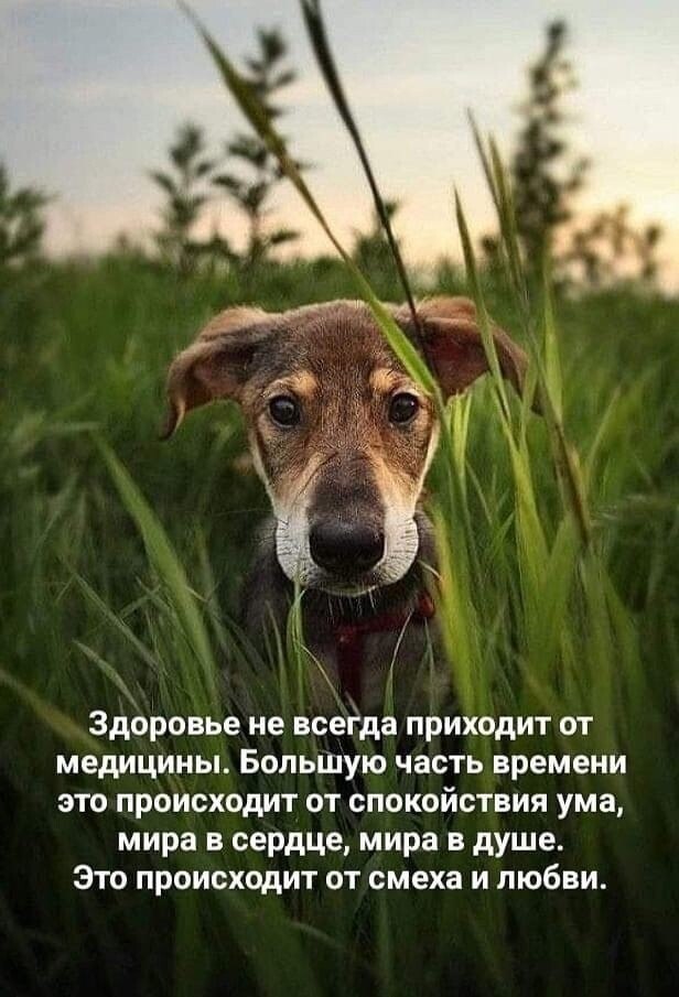 ***Victoria Viktorovna*** - 22  2023  11:28