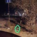 ���� �������, ������, 42 ���� - ��������� 25 ����� 2025 � ������ ���� ����������