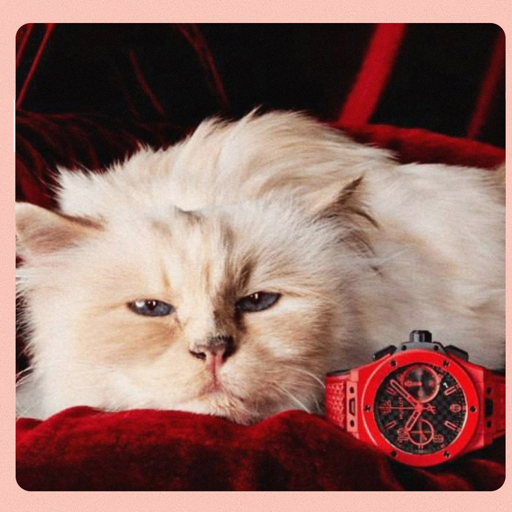 ,     ,      Hublot. ... - 2
