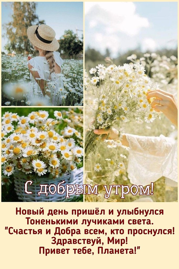   ,    . - 15  2025  21:17